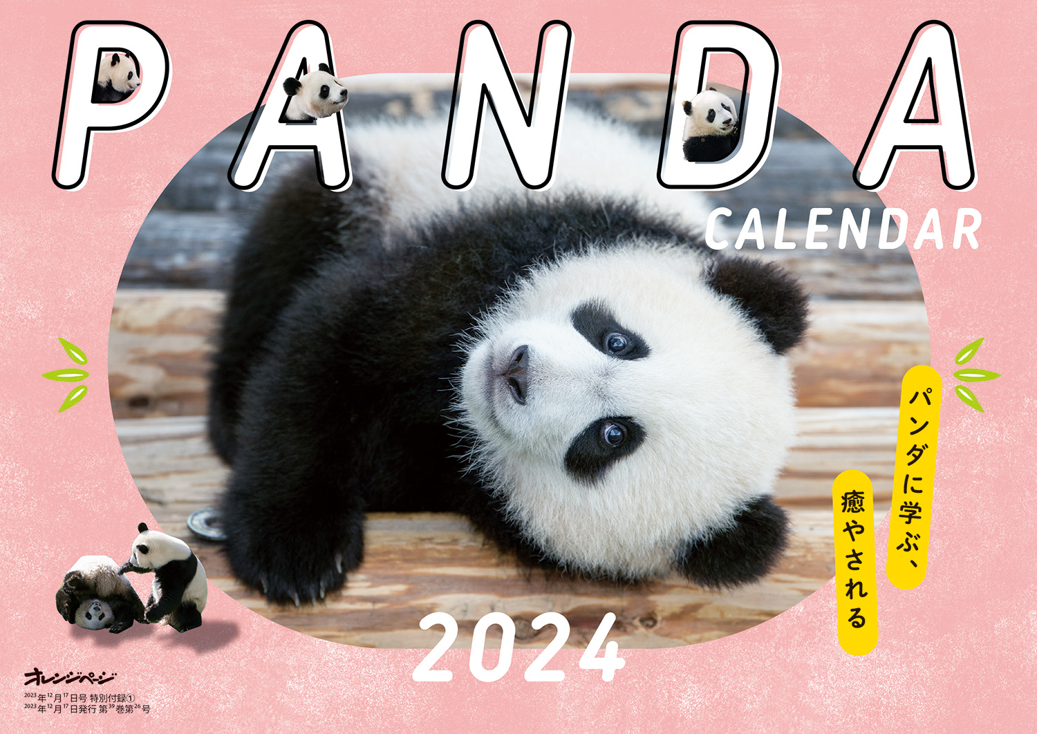 おいだてページ TATEYAMA FES 2025 | SLAB OUTDOORPARK TATEYAMA 周年際イベント開催