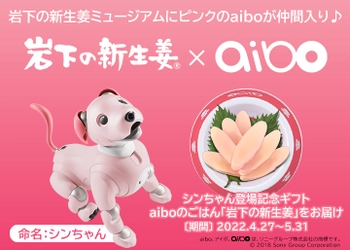 【岩下の新生姜×aibo】ピンクのaibo「シンちゃん」が4月27日から岩下の新生姜ミュージアムに仲間入り！