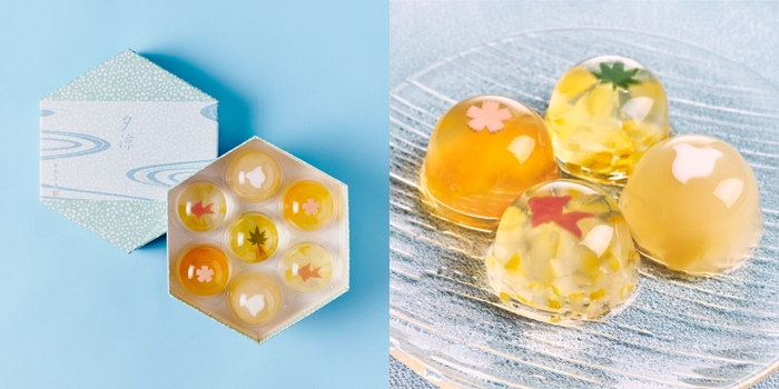 葉山 日影茶屋 夕涼詰合せ 7個入