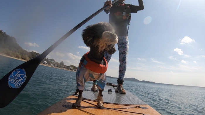 DOG SUP(ドッグサップ) in 浜名湖