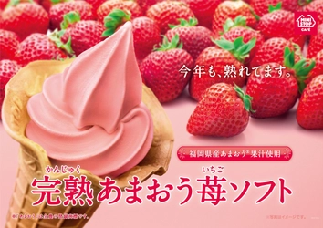 完熟いちごの“香り”と“甘み” 今年も登場！大人気 あまおう苺ソフト