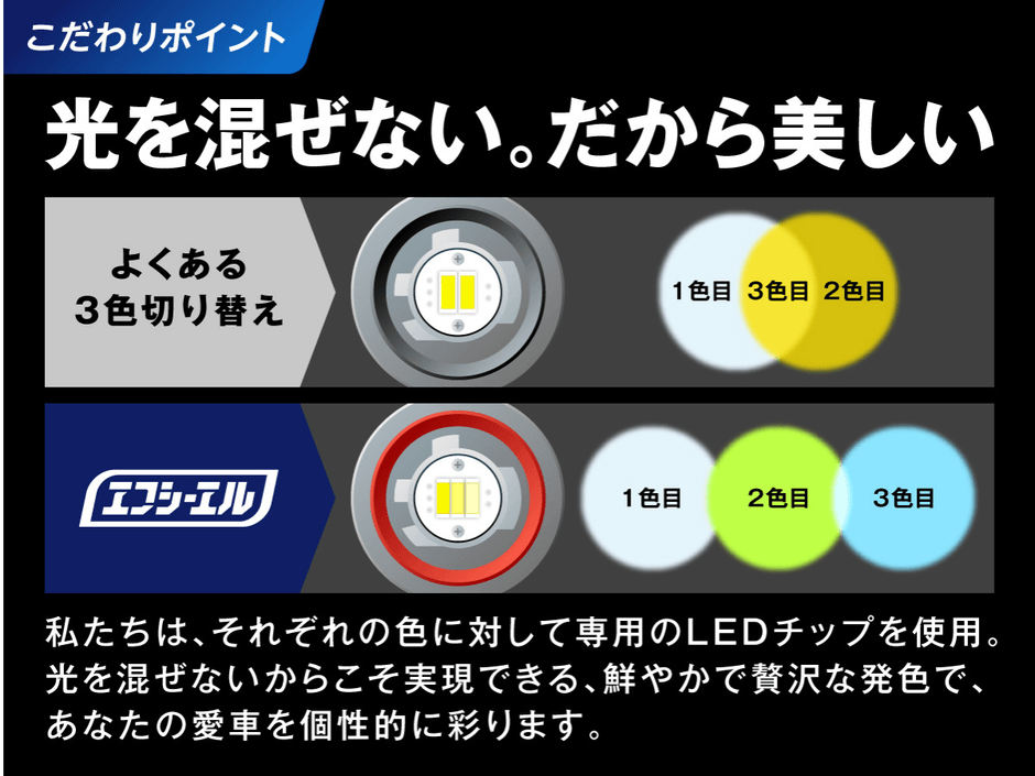 チップの配置とカラー