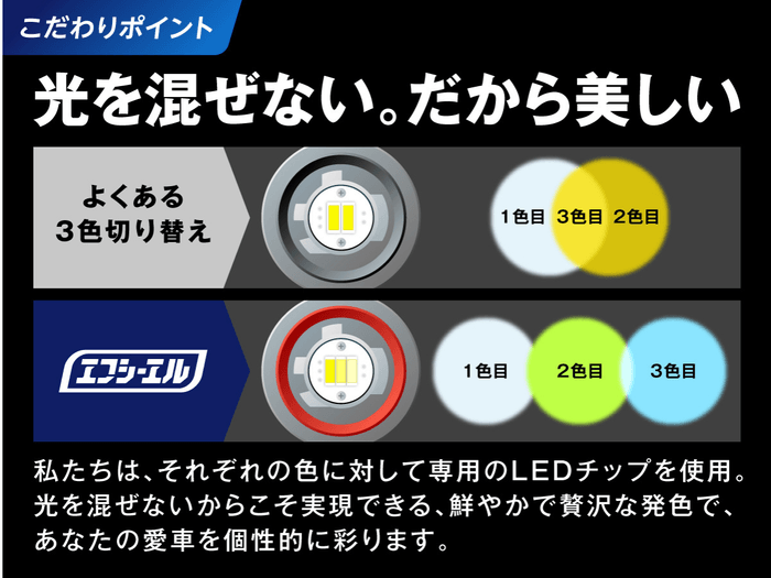 チップの配置とカラー