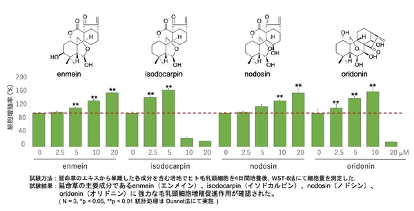 毛乳頭細胞増殖促進効果を指標に延命草エキスの分離・精製を行った結果