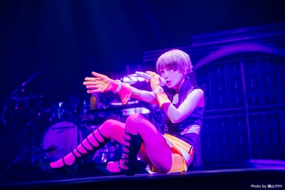 Reol