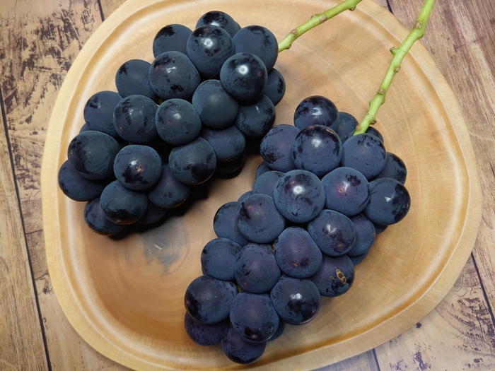 おがわら農園 深みのある黒い粒はぶどうの王様!