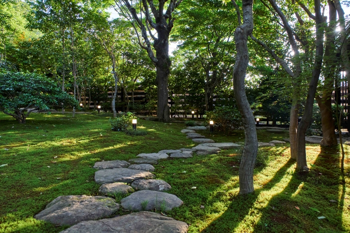 苔むす日本庭園