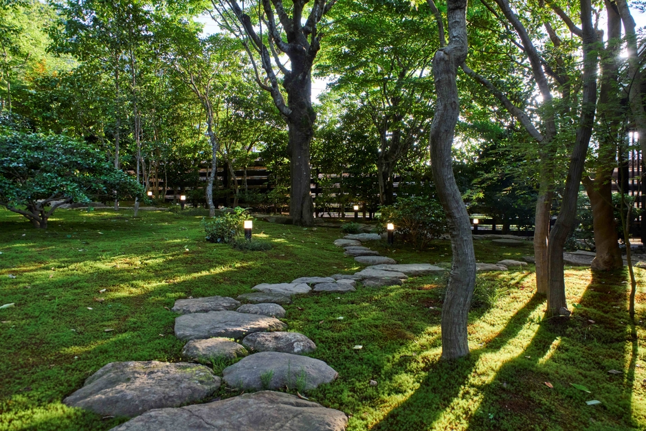 苔むす日本庭園