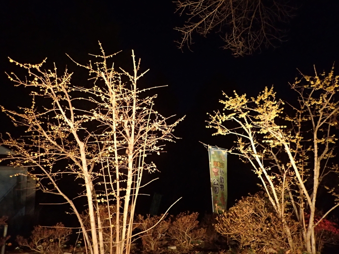 ライトアップイメージ2