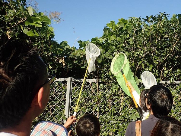 昨年のイベントの様子