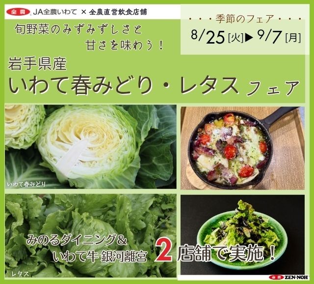 ～旬野菜のみずみずしさと甘さを味わう！～岩手県内の全農直営飲食店舗で岩手県産「いわて春みどり・レタスフェア」を８月２５日（火）～９月７日（月）まで開催