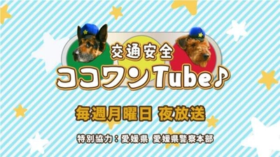 愛媛朝日テレビ「幼児向け交通安全教育動画DVDを進呈」