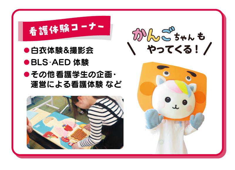 体験コーナーの内容