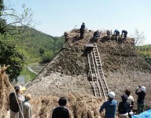 「豊栄の民家」葺き替えの様子