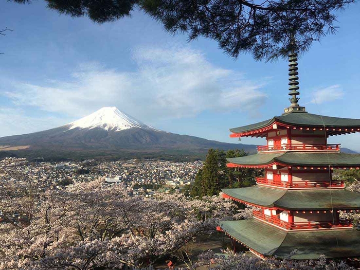 海外からの観光客の撮影スポットとして 有名な新倉山浅間公園＝宮下さん撮影