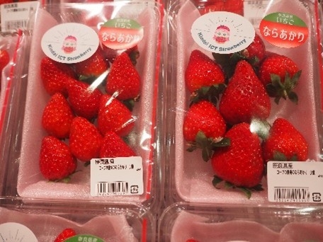 コープなんごうで販売された「ならあかり」