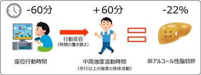 座っている時間を1時間減らして身体活動に充てると 脂肪肝である可能性が2割減と試算