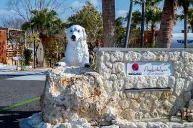 兵庫・淡路島"天国の海"のリゾートで春のハワイアンフェス
「アワジ ラニカイ フェスタ 2026」
4月25日・26日の2日間限定で入場無料イベント開催