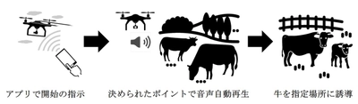 北海道初！ドローンで牛を誘導し放牧業務を効率化