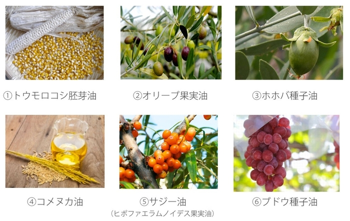 6種の植物オイル