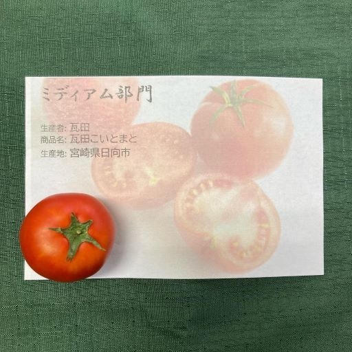 ミディアム部門銅賞:瓦田こいとまと