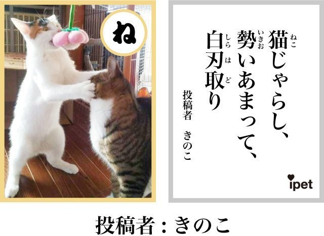 「にゃん!」最優秀賞