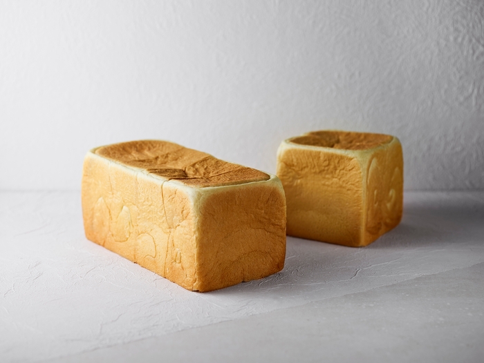 レギュラー&ハーフ