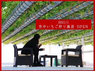 東海初「空中いちご農園」が岐阜県安八郡に1月4日オープン！ 運用資金を募るためクラウドファンディングも実施