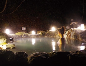 休暇村岩手網張温泉 仙女の湯