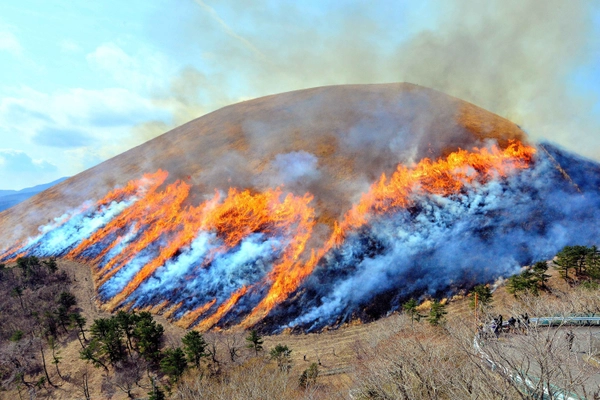 伊東で700年以上続く春の風物詩「大室山山焼き大会」　 山を丸ごと焼き上げる歴史ある伝統行事を2月9日に開催