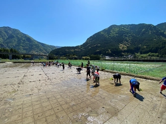 近畿大学附属新宮中学校1年生が熊野町で田植えを体験　紀伊半島大水害の復興地域で「ふるさと教育」を実施