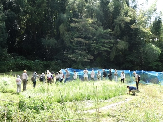 桜ヶ丘公園で「秋の自然観察ガイドウォーク」を実施します！