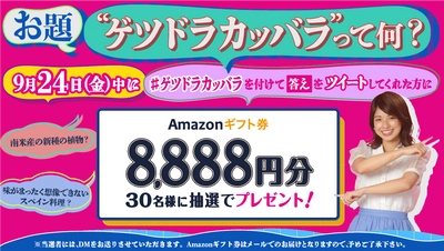 「ゲツドラカッバラ」」ってなんだ？ カンテレが謎の言葉でプレゼントキャンペーンを実施！