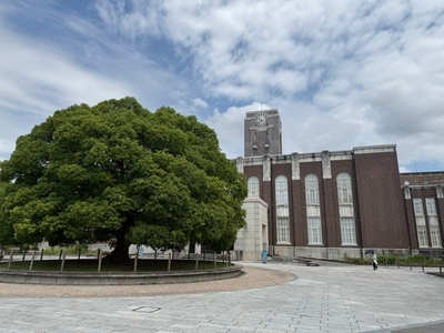 京都大学