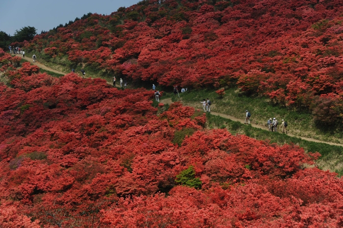 葛城山