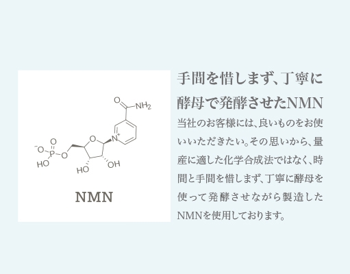 酵母発酵法
