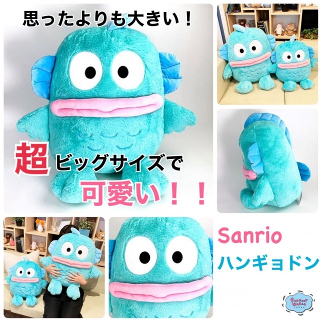 思ったよりも大きい！可愛い！ハンギョドンのビッグサイズぬいぐるみが