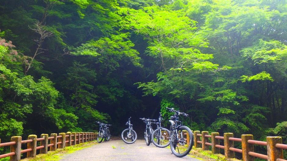 自然豊かな道をE-BIKEで駆け抜けよう