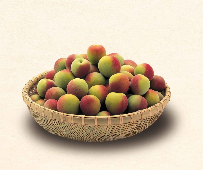 南高梅(イメージ:本品は1kg箱にてお届け)