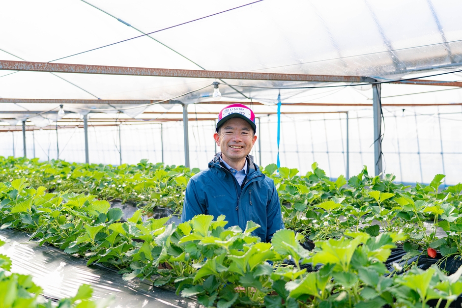 いちごマイスター　志波 邦彦さん