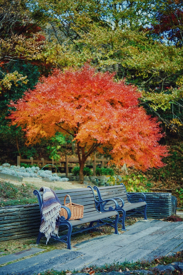 布引の紅葉がある風景(3)