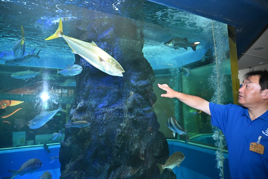 ブリについて解説する清水館長