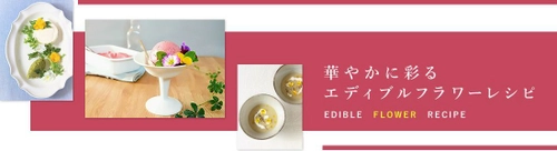 『クッキングアートサイト 美膳』 華やかに彩るエディブルフラワーレシピの特集コンテンツをリリース