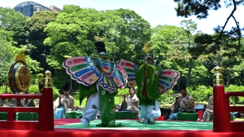 過去の公演の様子