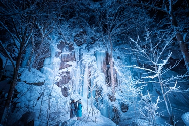 星野リゾート　奥入瀬渓流ホテル（青森県十和田市） 　冬の奥入瀬渓流で雪と氷の芸術に出会う 「氷瀑ライトアップツアー」開催 開催期間：2019年1月5日～3月17日