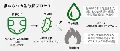 紙おむつの生分解プロセス