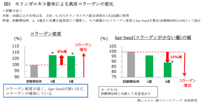 図5　モリンガエキス塗布による真皮コラーゲンの変化
