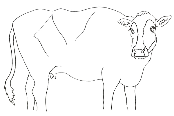 キャンバス下絵イメージ