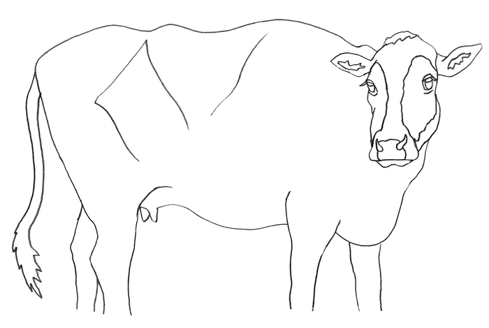 キャンバス下絵イメージ