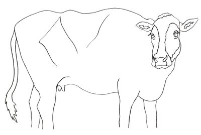 キャンバス下絵イメージ